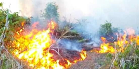 Ini Lokasi dan Titik Karlahut di Kabupaten Bengkalis Riau